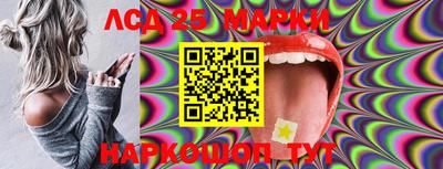 гидропоника Краснознаменск