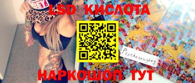 гидропоника Краснознаменск
