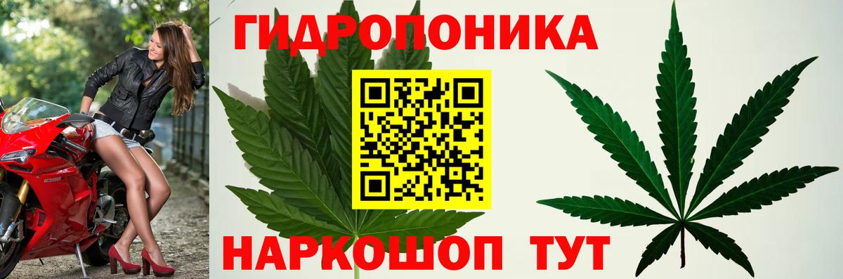 МАРИХУАНА Ganja  Вход с VPN  Карталы  Бошки марихуана LSD WEED  Бошки Шишки Bruce Banner 