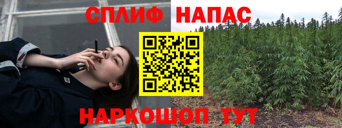 Бошки марихуана OG Kush Карталы